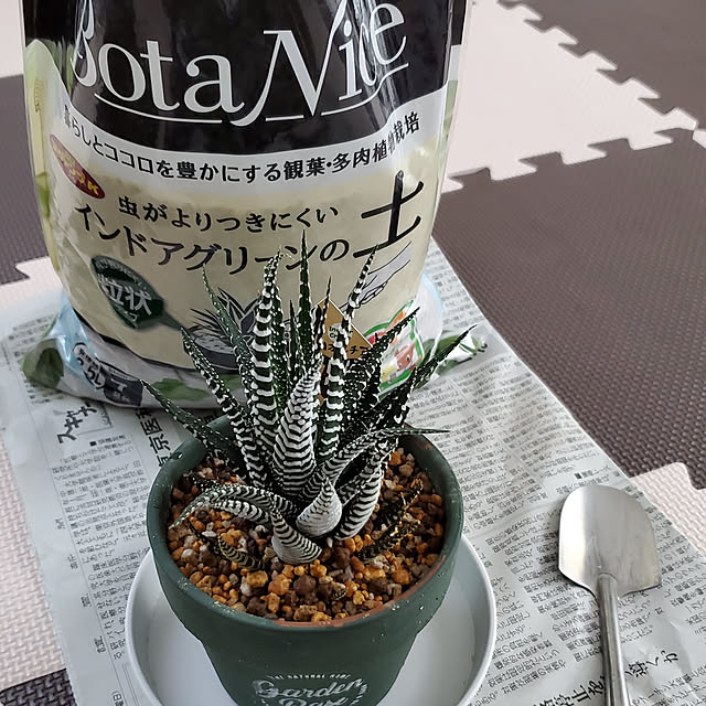 totoroさんの実例写真