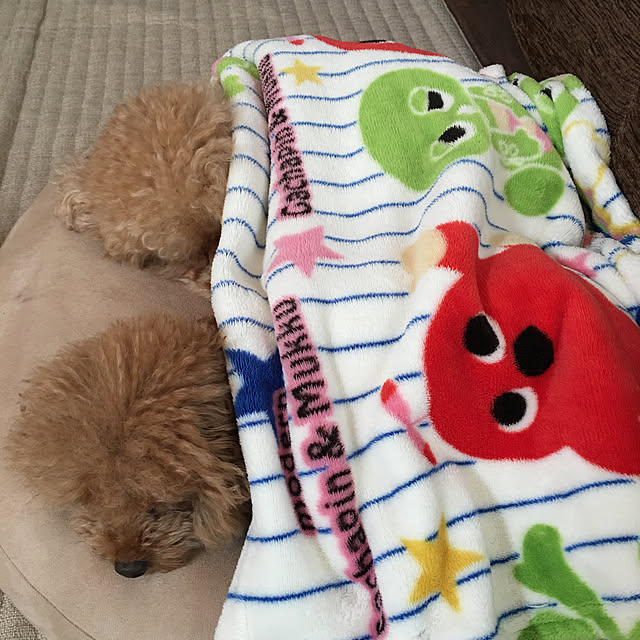 noririnさんの実例写真