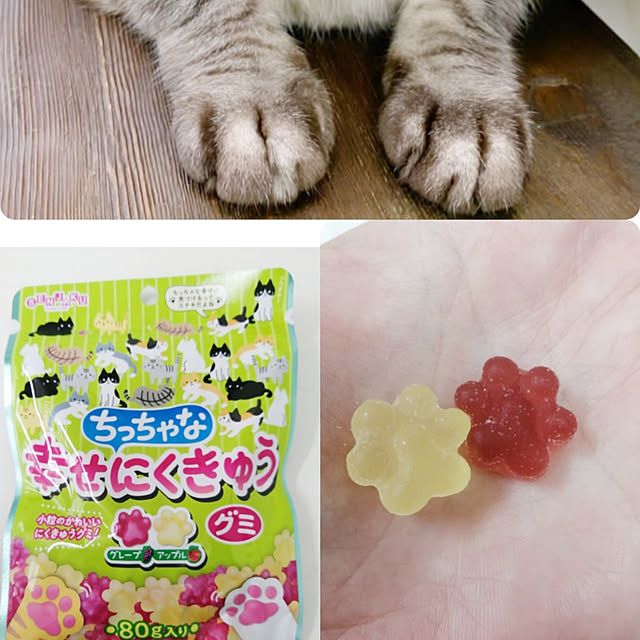 Manaさんの実例写真