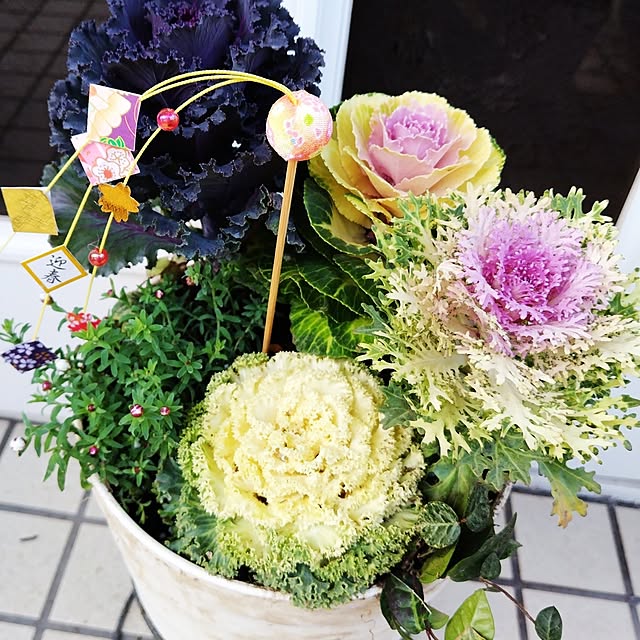 katさんの部屋