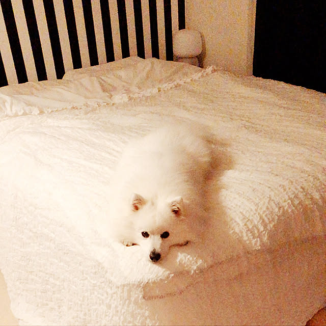 Keityさんの実例写真