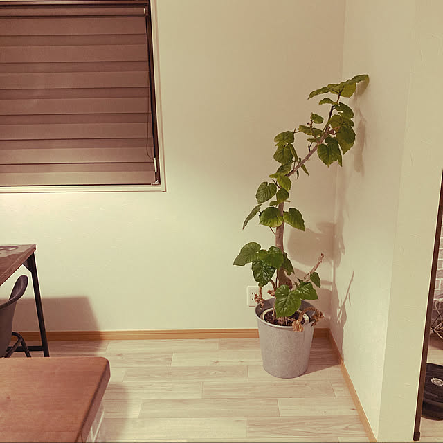 ssk.mさんの実例写真