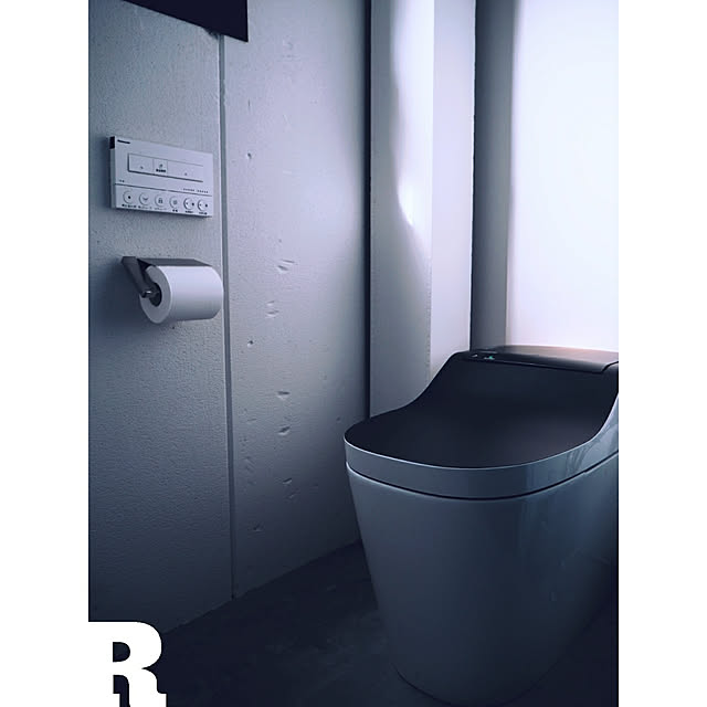 raujikaさんの実例写真