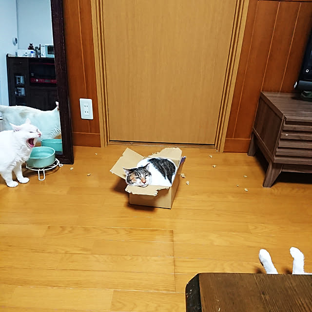 nachiさんの実例写真
