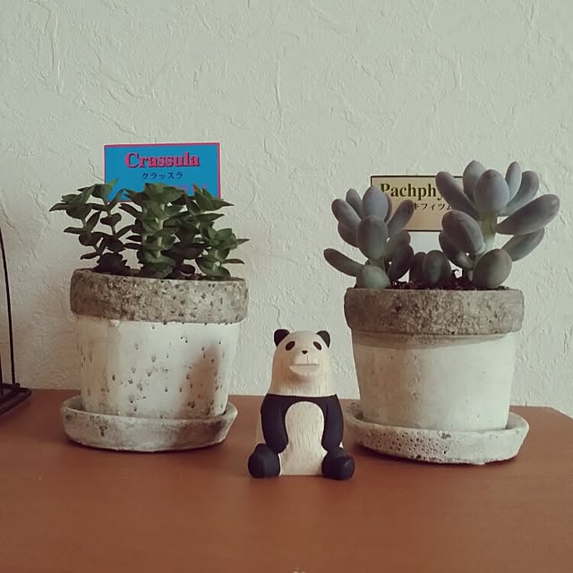 naoさんの実例写真