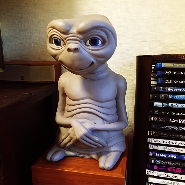 azumoさんの実例写真
