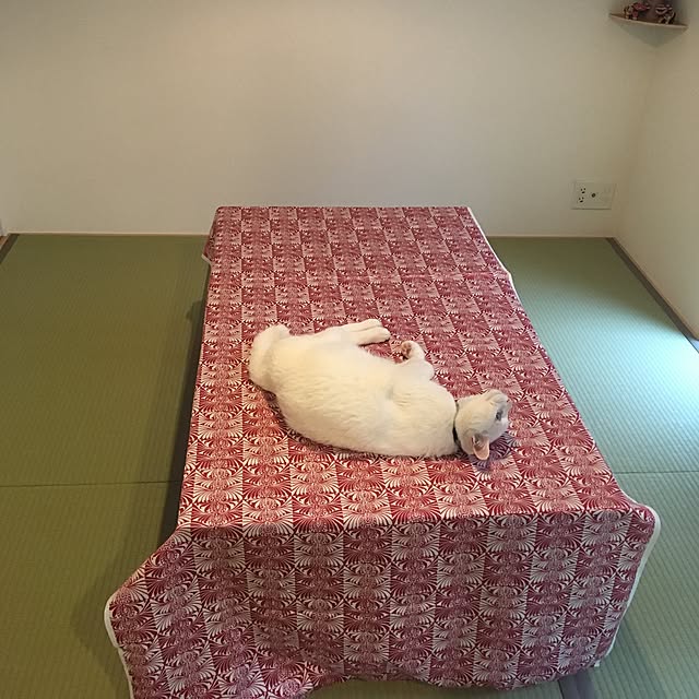 riechanさんの実例写真