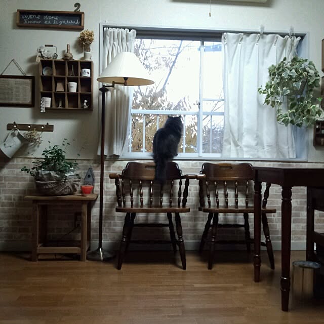 mucc08さんの実例写真