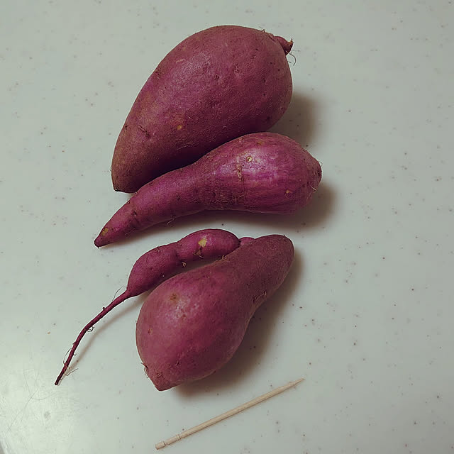 Yukaさんの実例写真