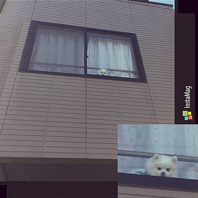 壁/天井のインテリア実例 - 2019-02-17 11:24:09