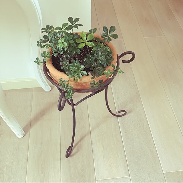 MAKARONさんの実例写真