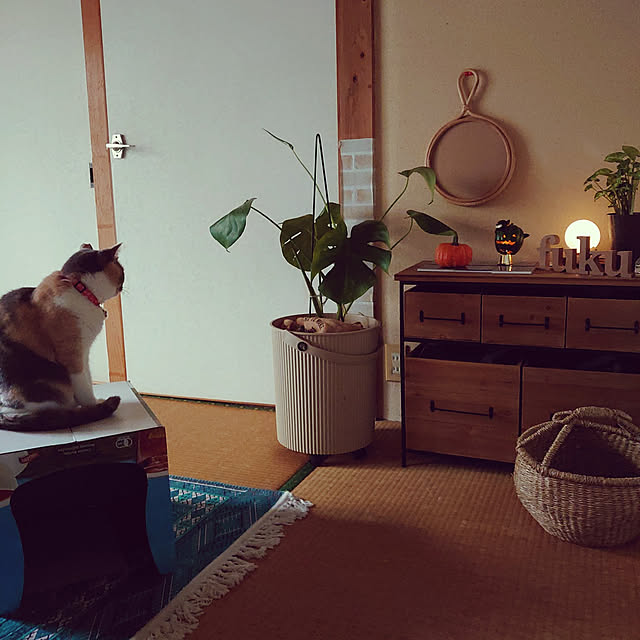 fukuさんの実例写真