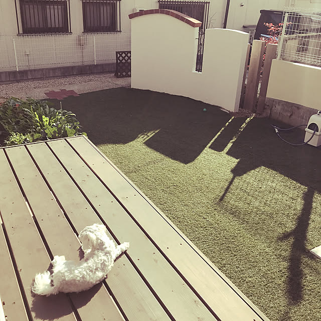 yoppyさんの実例写真