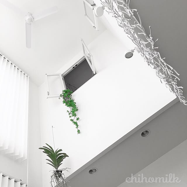chihomilkさんの実例写真