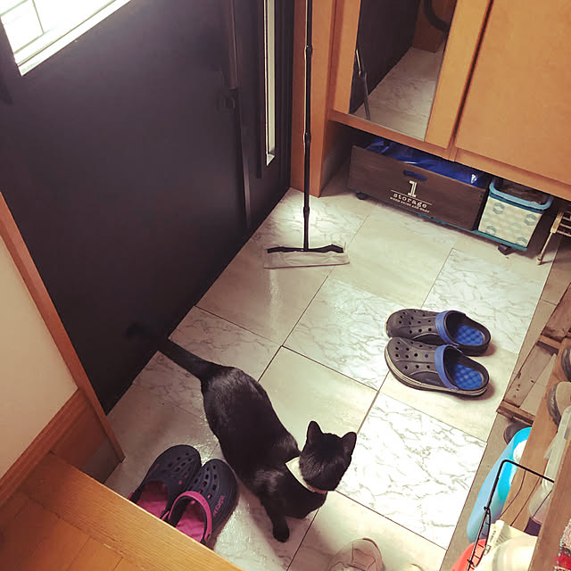 jijiさんの実例写真