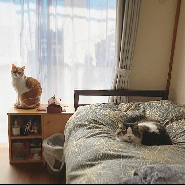 tokonさんの実例写真