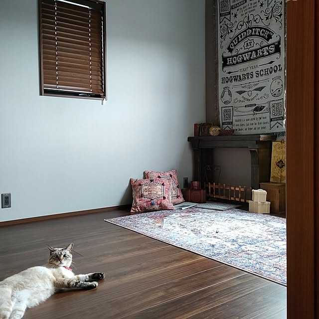 Atelier_tamakiさんの部屋