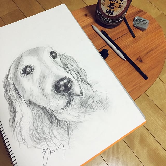 apiさんの実例写真