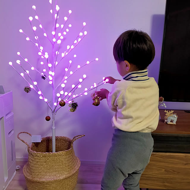 実例写真
