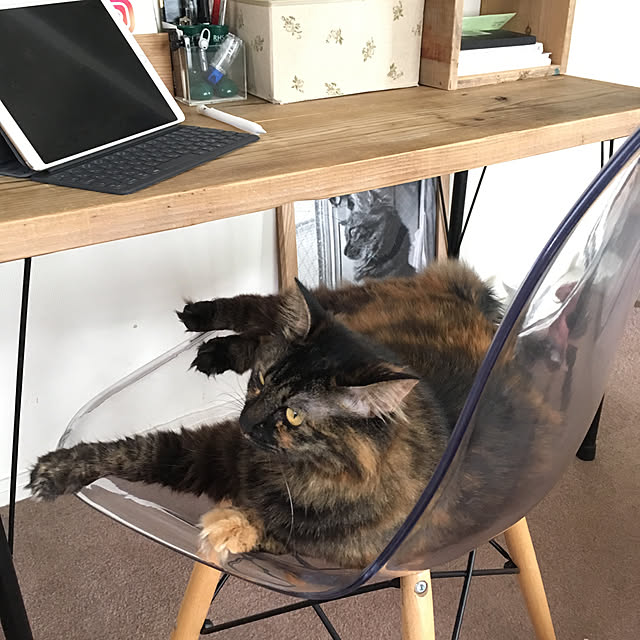 mikomaruさんの実例写真
