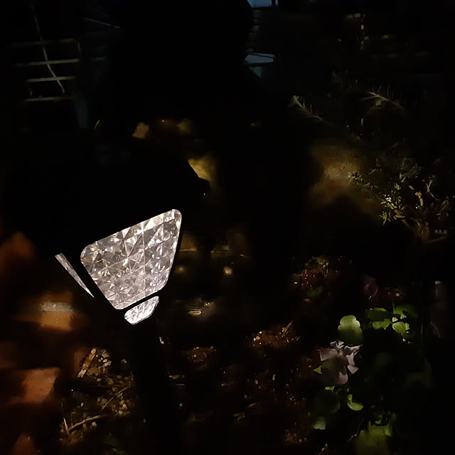 marikumiさんの実例写真