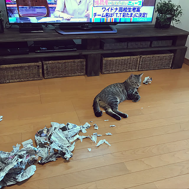 mikan161さんの実例写真