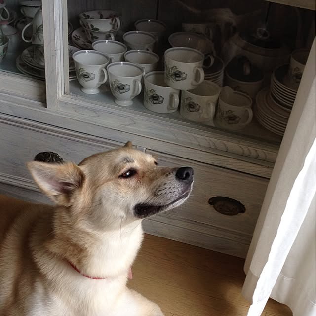 leonaさんの実例写真