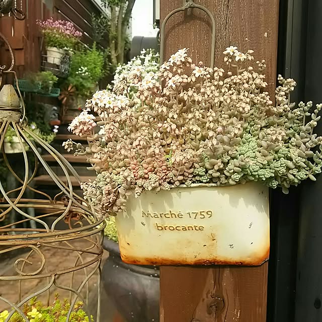 coronさんの実例写真