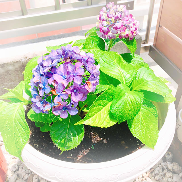 kinaさんの実例写真