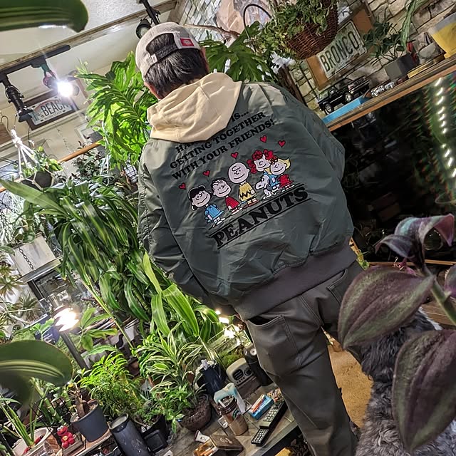 GINさんの実例写真