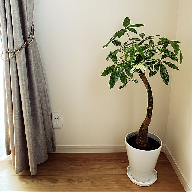 botanical884さんの実例写真