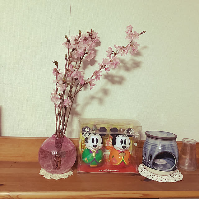 HANAさんの実例写真