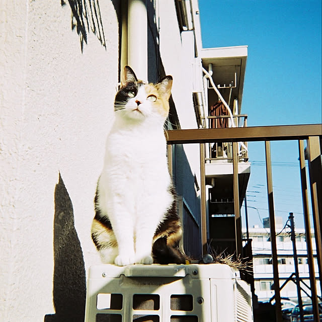 tsugumo8300さんの実例写真