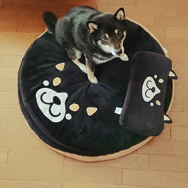tsutawarimasuさんの実例写真