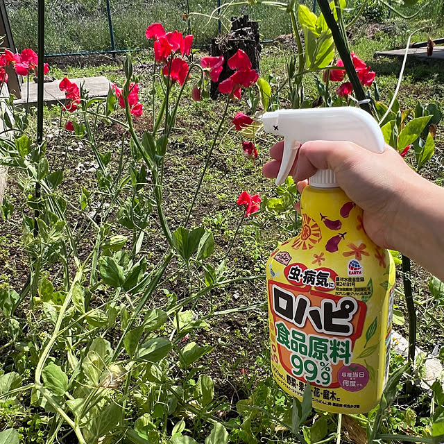 pokowheeさんの実例写真