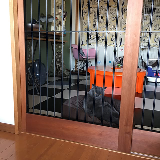 Shojiさんの実例写真