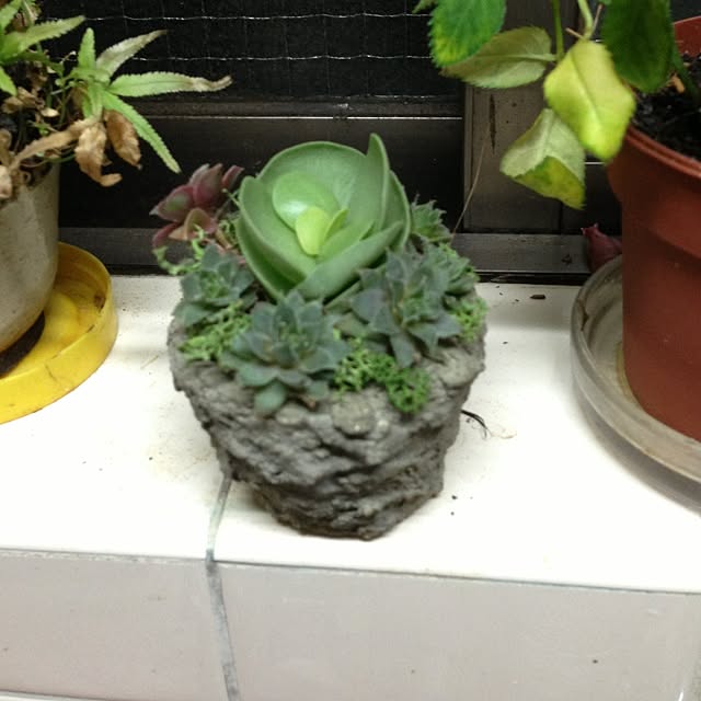 sadyさんの実例写真