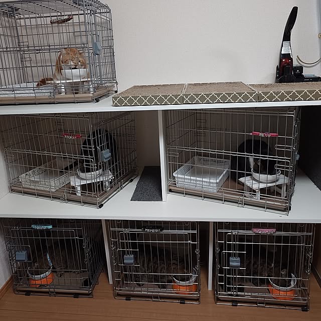 noguriさんの部屋