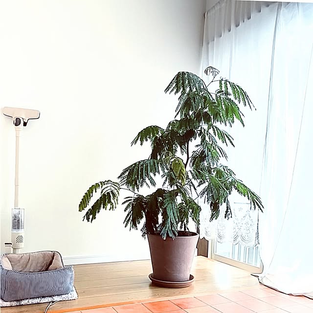 +CHIHARU+さんの実例写真