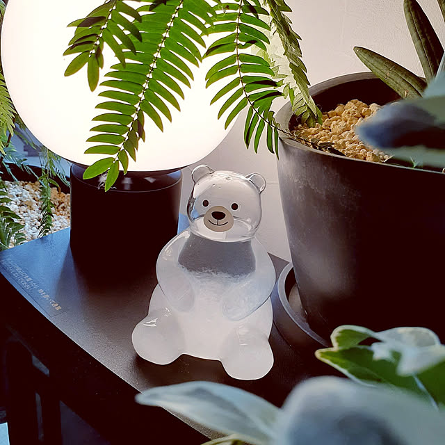 noahさんの実例写真