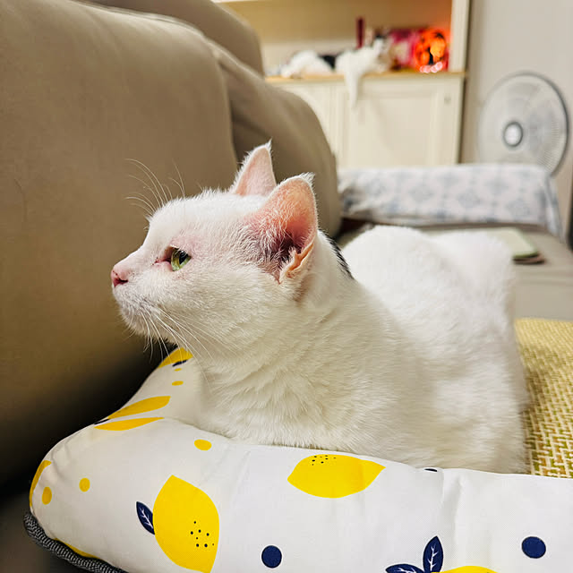 pcu110さんの部屋