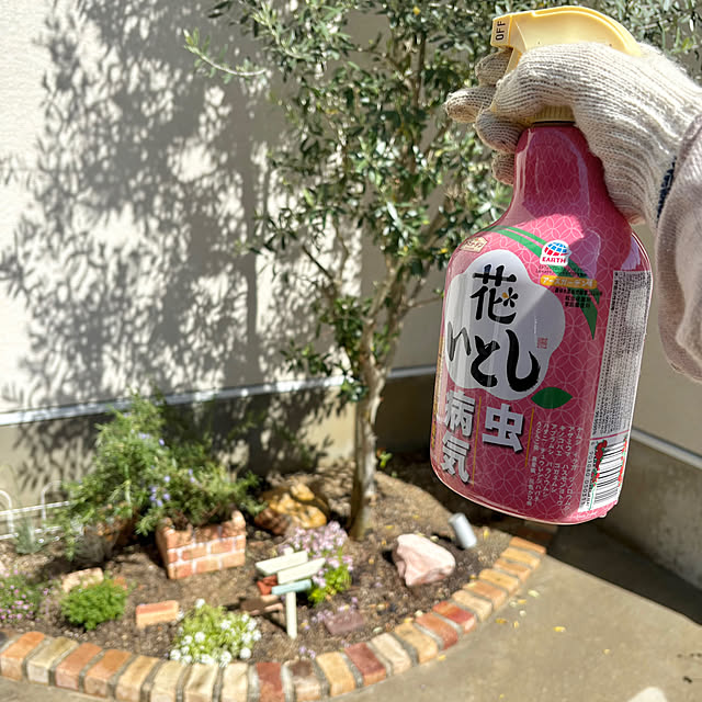 sasaさんの実例写真