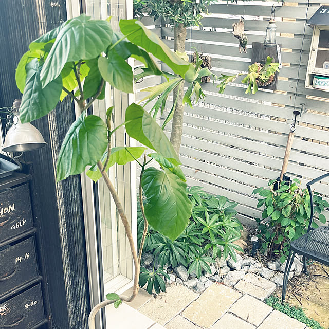 akiさんの実例写真