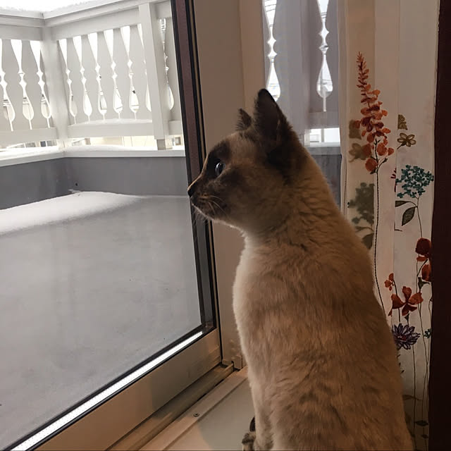 Moricさんの実例写真