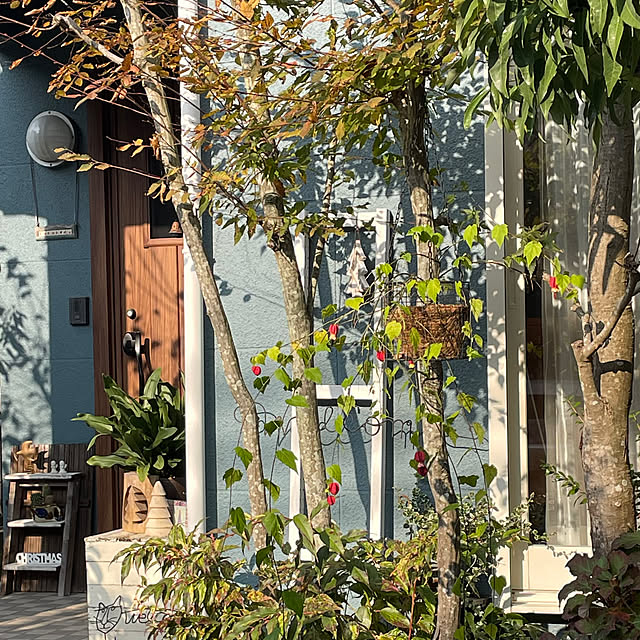 nobikoさんの部屋