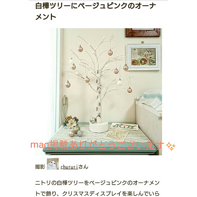 chururiさんの実例写真
