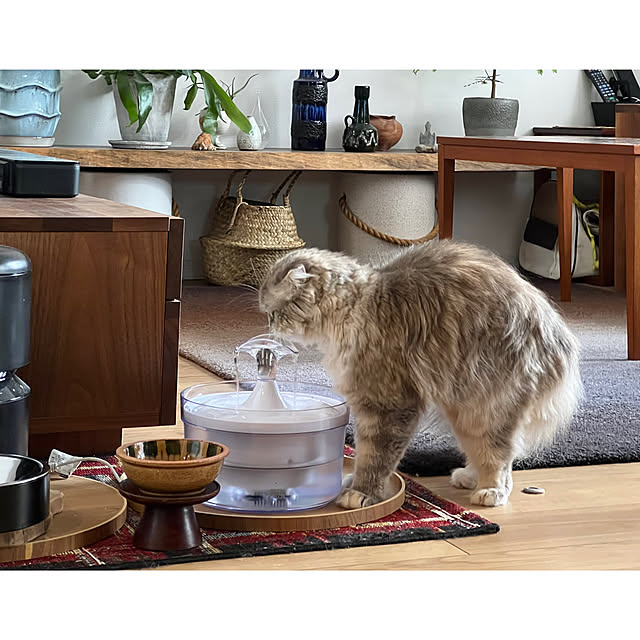 gfさんの実例写真