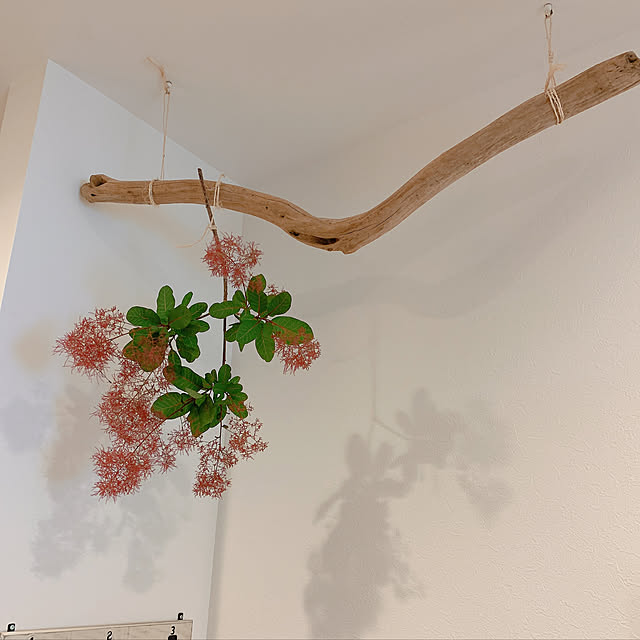 ohana0407さんの実例写真