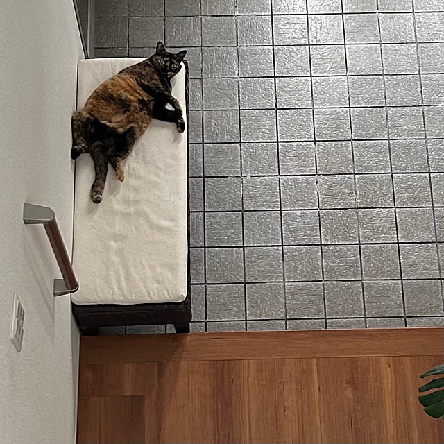cocoさんの実例写真