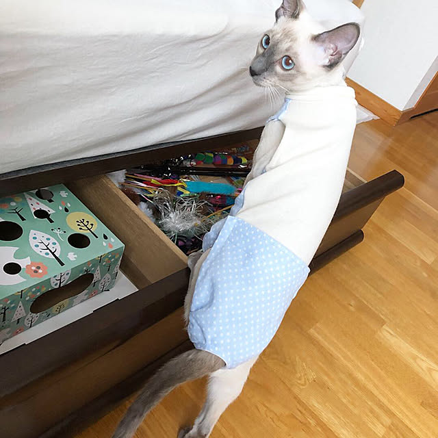 mujinekoさんの実例写真